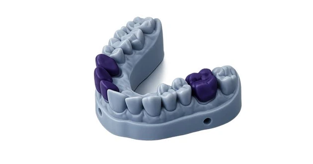 Dental Resin